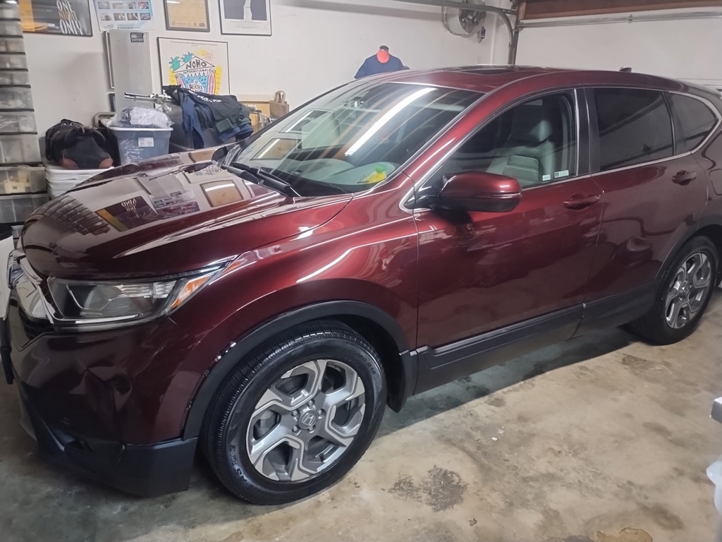 Professional detailing work